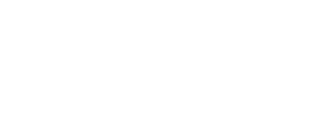 US Navy logo white