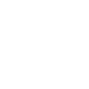 Geely Auto LOGO website sized